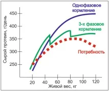 комбиниран фураж прасета