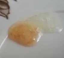 причини