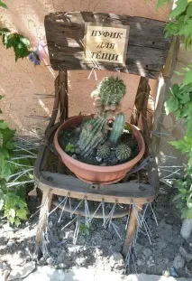Про тещу теща