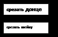 ПМ 01 «Готування страв з овочів та грибів» страв