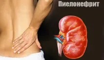 колички гръбначния мозък