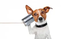 Перекладачі з «мов» тварин як поговорити з вихованцем, Наука і життя поговорити