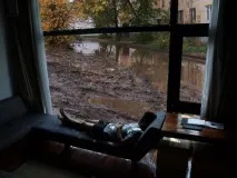 прозорци защо