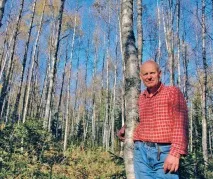 Чому варто прочитати книгу «Норвезький ліс скандинавський шлях до сили та свободи» чому