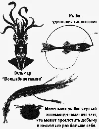 кадастралната стойност земята
