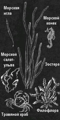 върху себе върху себе