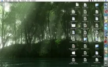 Dock