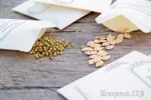 Підготовка насіння до посіву – корисні поради посіву
