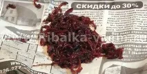 кръвни червеи примамка