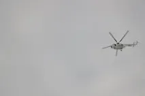 жертвите жертвите