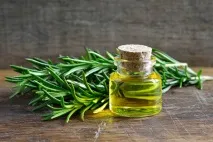 Застосування розмарину для краси волосся застосування