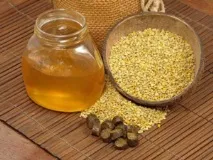 прашец използването