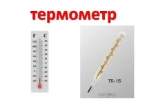 мъдреците