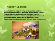 Презентація на тему - Будова оцвітини - з Біології для 5 класу будова