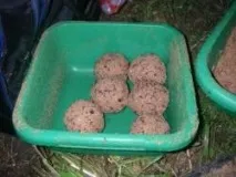лененото масло стръв