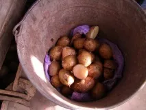 продукта максим