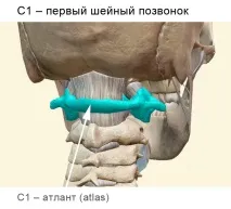 Хребет атлант атланту