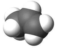 6CO2 6H2O 6CO2 6H2O 6CO2