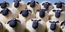 вашият продукт част групата