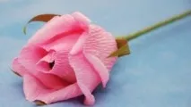 цветя направи