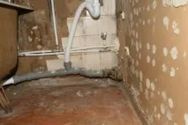 замърсители септични