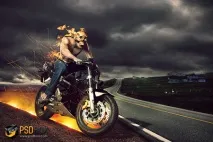 Примарний гонщик у Фотошоп, Портал графіки та дизайну портал