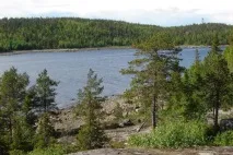 Природа, рослини та тварини Мурманської області природа