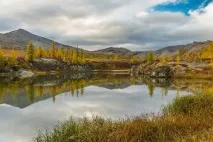 Природа, рослини та тварини Мурманської області природа