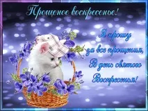неделя неделя