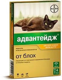 bayer котки