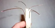 направи