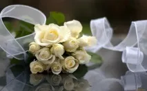 бели рози бели рози