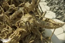 Білий храм в Таїланді - Wat Rong Khun, Чіанг Рай храм