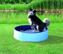 model кучета
