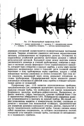 радиус голяма