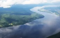 амур около хиляди