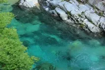 Річки Японії найбільші та красиві повноводні та дрібні найбільші