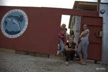 наркотиків