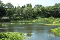 Річки Японії найбільші та красиві повноводні та дрібні річки