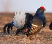 Завдання