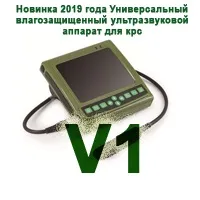 след раждането овце