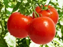 кухня кухня