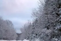 Санаторії Львівської області ціни на 2019 рік з лікуванням, офіційний сайт Курорт Експерт ціни