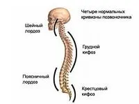 Шийний кіфоз лікування, Медицина, наука, здоров’я наука