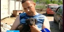 двойка откри
