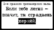 шість