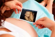 Зробити УЗД у Всеволожську, Вітамед у Всеволожську дослідження