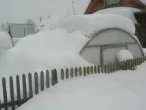 подсилени подсилени
