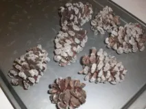 Шоколадні шишки для прикраси торта своїми руками прикраси