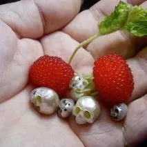 различни нюанси различни нюанси